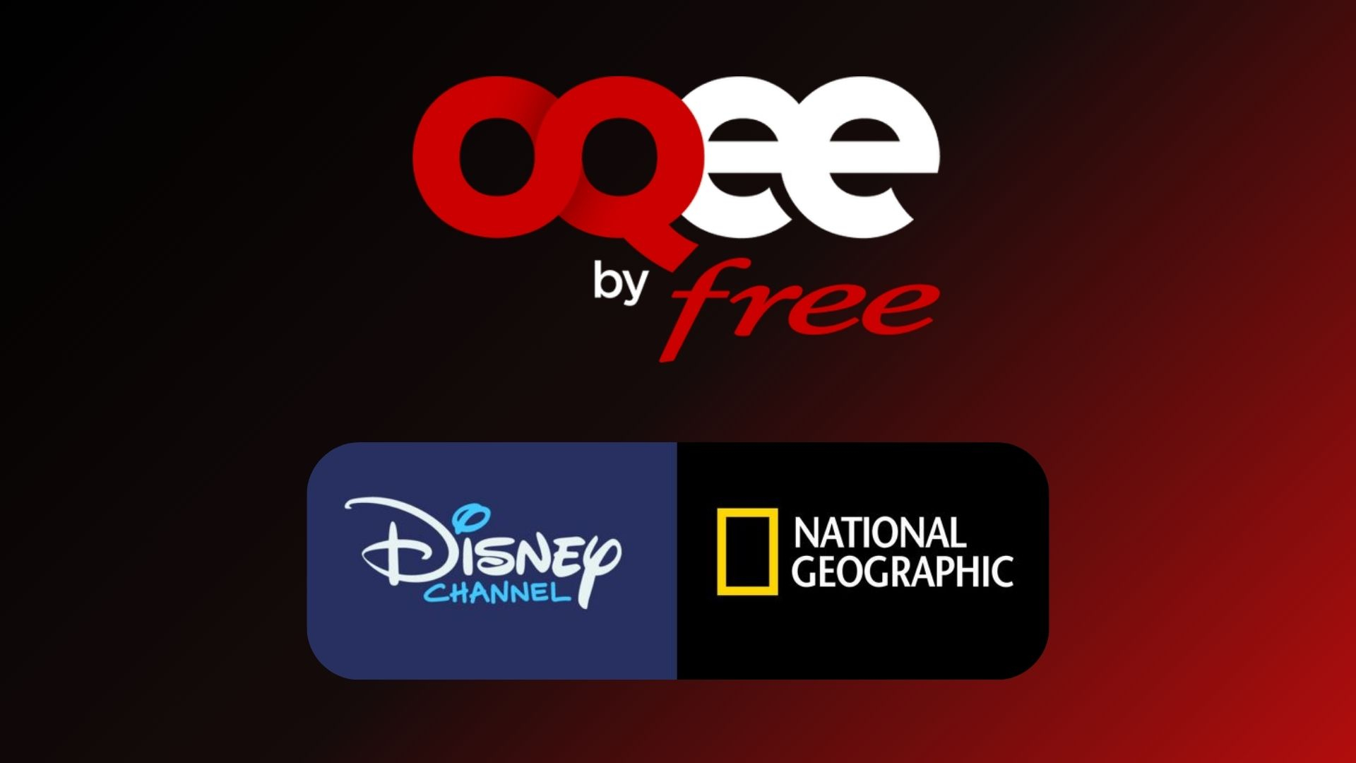 Free enrichit son bouquet TV avec Disney Channel et National Geographic dès le 1er janvier 2025