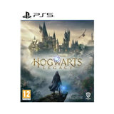 Harry Potter : Hogwarts Legacy sur PS5