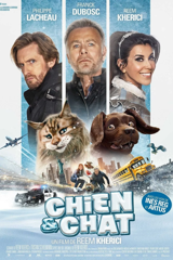 chien et chat