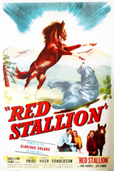 the red stallion