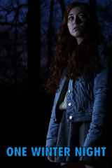 one winter night