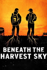 beneath the harvest sky