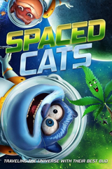 spaced cats