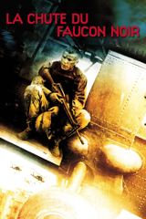 La chute du faucon noir