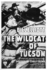 the wildcat of tucson