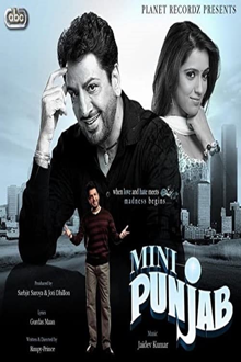 mini punjab