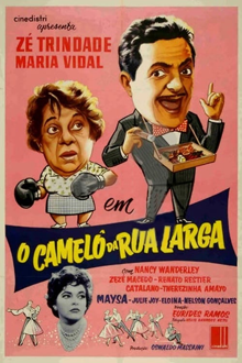 o camelô da rua larga
