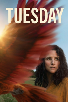 tuesday