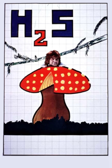 h2s