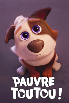 pauvre toutou !