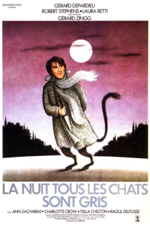 la nuit, tous les chats sont gris