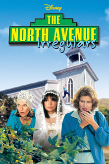 the north avenue irregulars