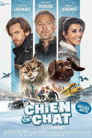 chien et chat