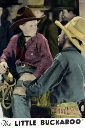 the little buckaroo