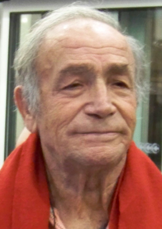 venantino venantini