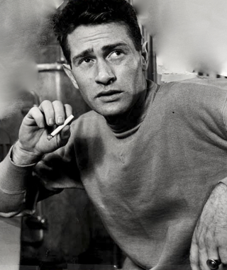 darren mcgavin