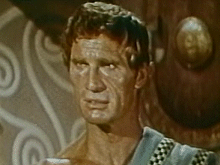 gordon mitchell