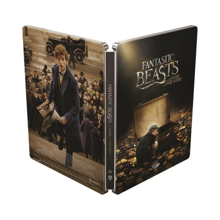 Les Animaux fantastiques : édition Limitée SteelBook 4K Ultra HD + Blu-Ray