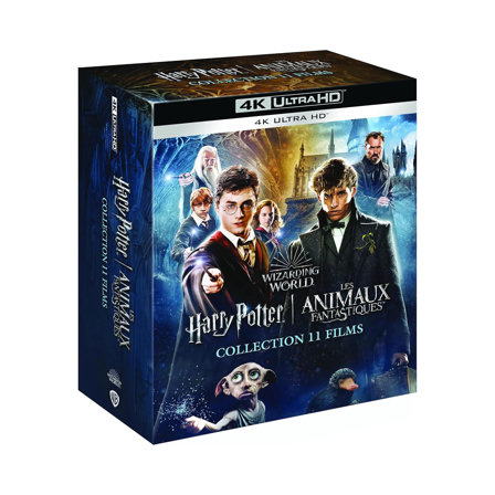 Wizarding World : Intégrale Harry Potter + Les Animaux Fantastiques : 11 Films [4K Ultra HD]