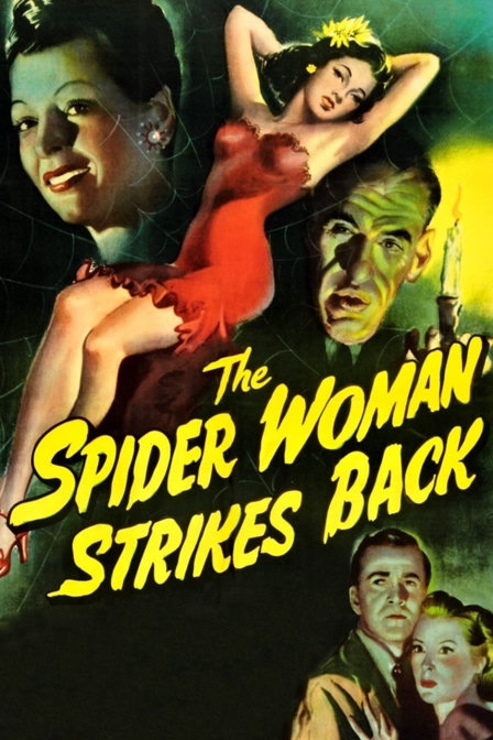 the spider woman strikes back
