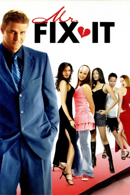 mr. fix it