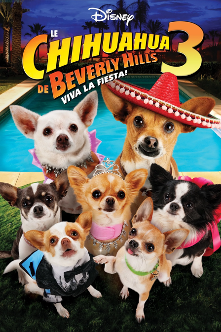 le chihuahua de beverly hills 3 : viva la fiesta !