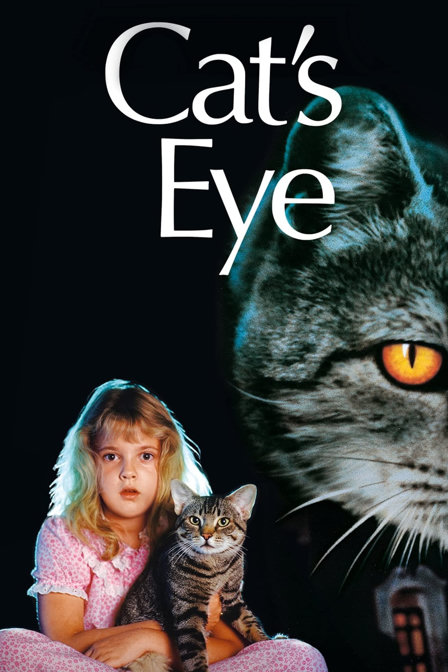 cat's eye
