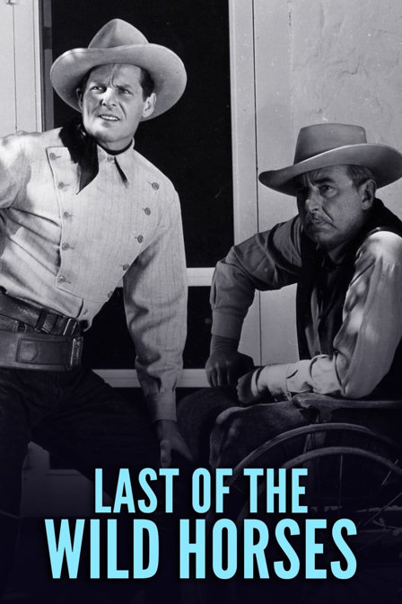 last of the wild horses