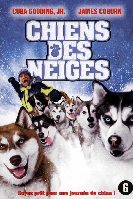 Chiens des neiges