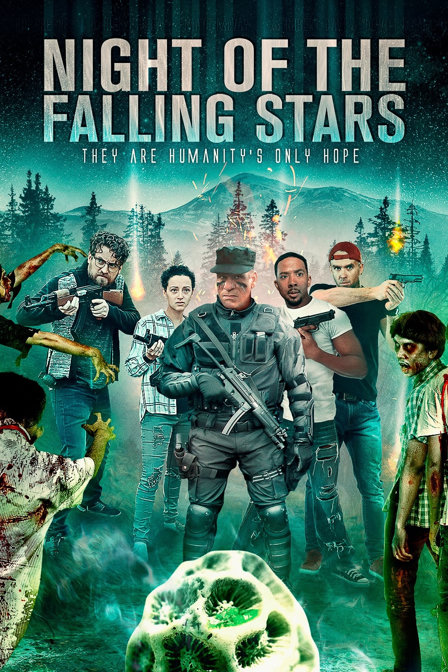 night of the falling stars