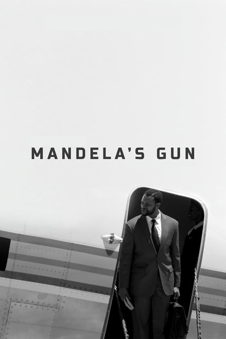mandela's gun