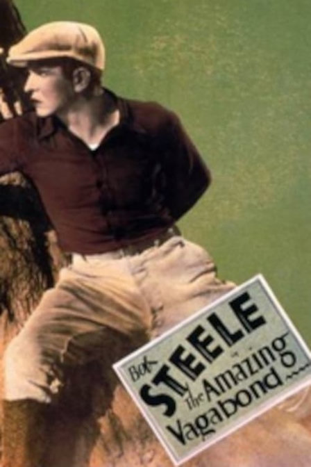 the amazing vagabond