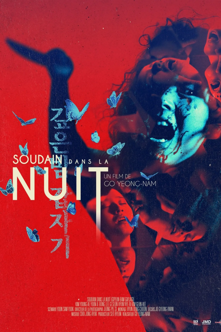 Soudain dans la nuit