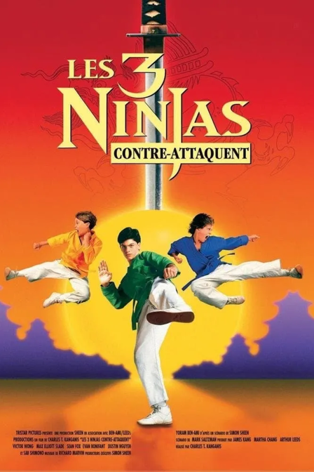 ninja kids 2 : les 3 ninjas contre-attaquent