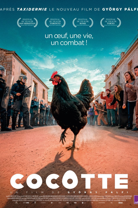 Cocotte