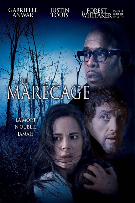 the marsh