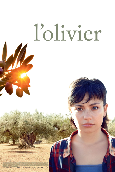 l'olivier