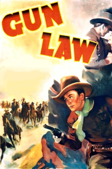 gun law