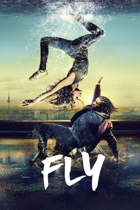 fly