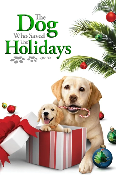le chien qui a sauvé noël