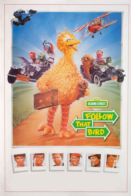 follow that bird