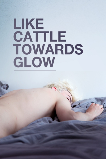 like cattle towards glow