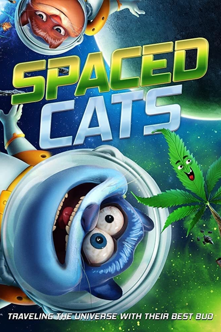 spaced cats