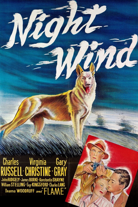 night wind
