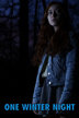 one winter night