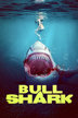 bull shark
