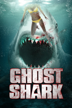 ghost shark