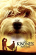 kindness matters